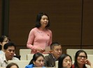 Đại biểu đề nghị làm rõ 'chính sách hình sự đặc biệt'