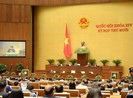 ĐBQH không đồng ý ban hành luật lực lượng tham gia bảo vệ ANTT