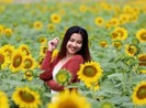 Lễ 30-4 thăm vườn hoa hướng dương gây sốt ở TP.HCM