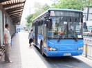 Ngày mai, xe buýt ở TP.HCM hoạt động trở lại bình thường
