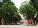 Cấm tất cả xe lưu thông trên đường Lê Duẩn sáng 12-7
