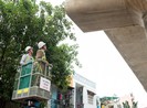 Rớt gối cao su: Hội đồng Nghiệm thu Nhà nước kiểm tra