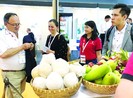 Đóng cửa nhà máy vì cước tàu biển tăng dồn dập
