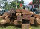 Tòa cho hưởng án treo khi không đủ điều kiện