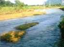 Tìm thấy thi thể hai cô cháu sau một ngày mất tích bí ẩn