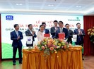 Vietcombank hợp tác REE cấp tín dụng cho nhà máy điện gió