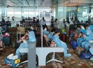 Thông tin liên quan hành khách từ Hàn Quốc về VN ngày 30-9