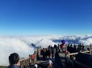 Fansipan - điểm đến cuốn hút du khách quanh năm