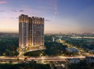 Thị trường căn hộ Bình Dương bước vào thời kỳ 'thăng hoa'