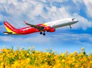 Vận chuyển mai, đào dịp Tết Tân Sửu 2021 cùng Vietjet