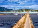 Đưa dự án điện mặt trời 12.000 tỉ đồng vào hoạt động