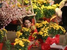 Dàn nghệ sĩ diện áo dài đón Tết cùng 'Ký ức vui vẻ'