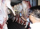 Ban QL An toàn thực phẩm xung phong đeo vòng cho heo