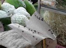 Ruồi, mèo 'quậy tưng' khu vực chế biến thực phẩm