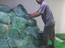 Bị phạt 102 triệu đồng do kinh doanh thịt cá không nguồn gốc