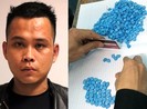 Chạy ô tô đi bỏ sỉ ma túy cho quán bar, vũ trường