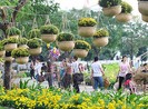 Hội hoa xuân Phú Mỹ Hưng: 'Xuân no ấm'