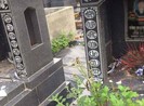 Hàng loạt bát nhang ở nghĩa trang bị đập phá trong đêm
