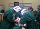 Việt Nam lần đầu ghép xương tay cho người ung thư