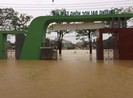 Gia hạn thời gian nhập học cho 2 trường ĐH vì mưa lũ