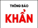 Thông báo khẩn của Bộ Y tế tối 29-1