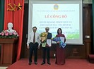 Nhân sự mới tòa Cấp cao tại TP.HCM