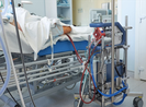 Tình trạng mới nhất của phi công mắc COVID-19 phải chạy ECMO