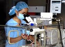 Thực hư tác dụng diệu kỳ của “thuốc bổ trứng”