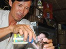 Chuyện ở Vồ Dơi: Thả thú về rừng, niềm vui lớn hơn tiền bạc