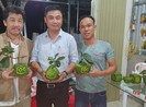 Hoa mới, trái cây hình độc, lạ rục rịch ra chợ tết