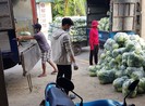 Doanh nghiệp Hải Dương kêu cứu vì nhiều tỉnh… cấm xe