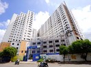 Làm dự án nhà ở xã hội được miễn tiền sử dụng đất