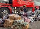 Hơn 2000 chiếc váy không rõ nguồn gốc trên xe khách