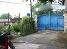 Bình Dương: Hổ tấn công một người đàn ông
