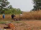 Phát hiện thi thể đang phân hủy trong đám cỏ