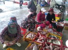 Đà Nẵng: Thành lập ban chỉ huy tiền phương tại cảng cá