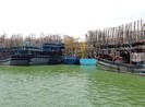 930 tấn mực khô ứ đọng vì Trung Quốc không mua