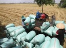 An Giang kiến nghị Thủ tướng cho tiếp tục xuất khẩu gạo
