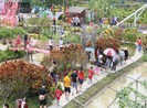 Đồng Tháp tạm dừng hoạt động mừng Xuân tập trung đông người