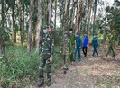 An Giang: 2 người nhập cảnh trái phép nghi nhiễm COVID-19