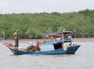 Xã Thạnh An - Cần Giờ vẫn chưa được công nhận là xã đảo
