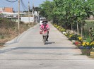 Vũng Tàu: Bờ kênh 'đổi sắc' nhờ đường hoa xã hội hóa