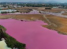 Bà Rịa-Vũng Tàu: Xử lý doanh nghiệp xả thải ra đầm nước