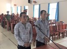 Đào trộm cây khế 30 năm tuổi, 2 người lãnh án