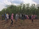 Bà Rịa - Vũng Tàu: Người đàn ông tử vong trong vườn tiêu