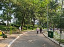 TP.HCM tăng thêm công viên, mảng xanh công cộng