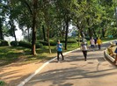 TP.HCM: Công tác bảo tồn 'di sản xanh' gặp khó