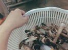 Loại siêu thực phẩm nhiều dinh dưỡng và không gây tăng cân
