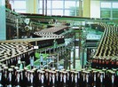 Nghị định, thông tư 'vênh' luật, doanh nghiệp than khó