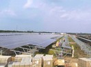 Bộ Nông nghiệp cảnh báo làm điện mặt trời bên hồ thủy lợi
